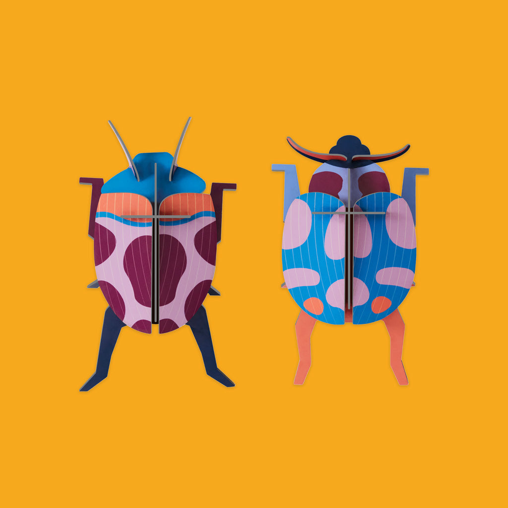 Studio Roof Coccinelle Beetles