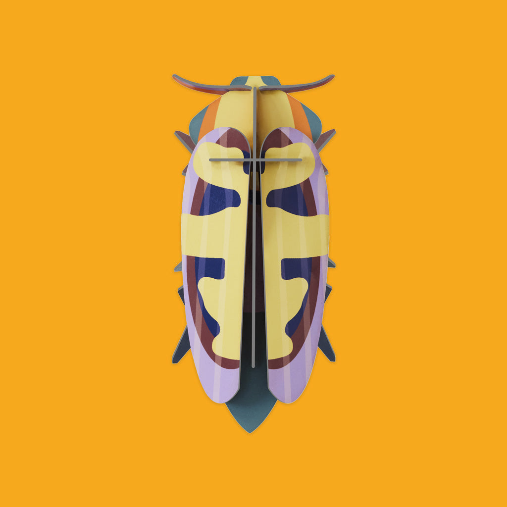 Studio Roof Mango Flower Beetle