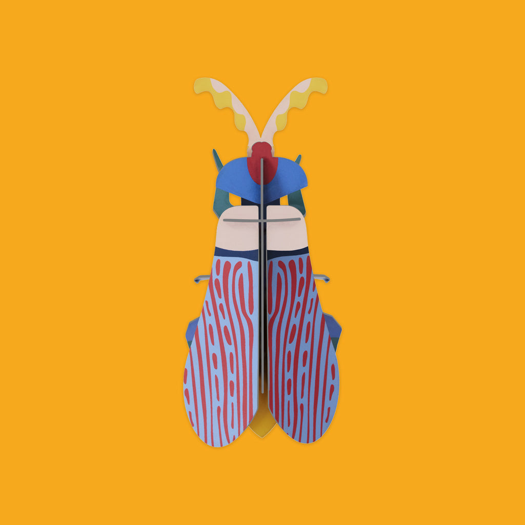 Studio Roof Striped Winged Beetle