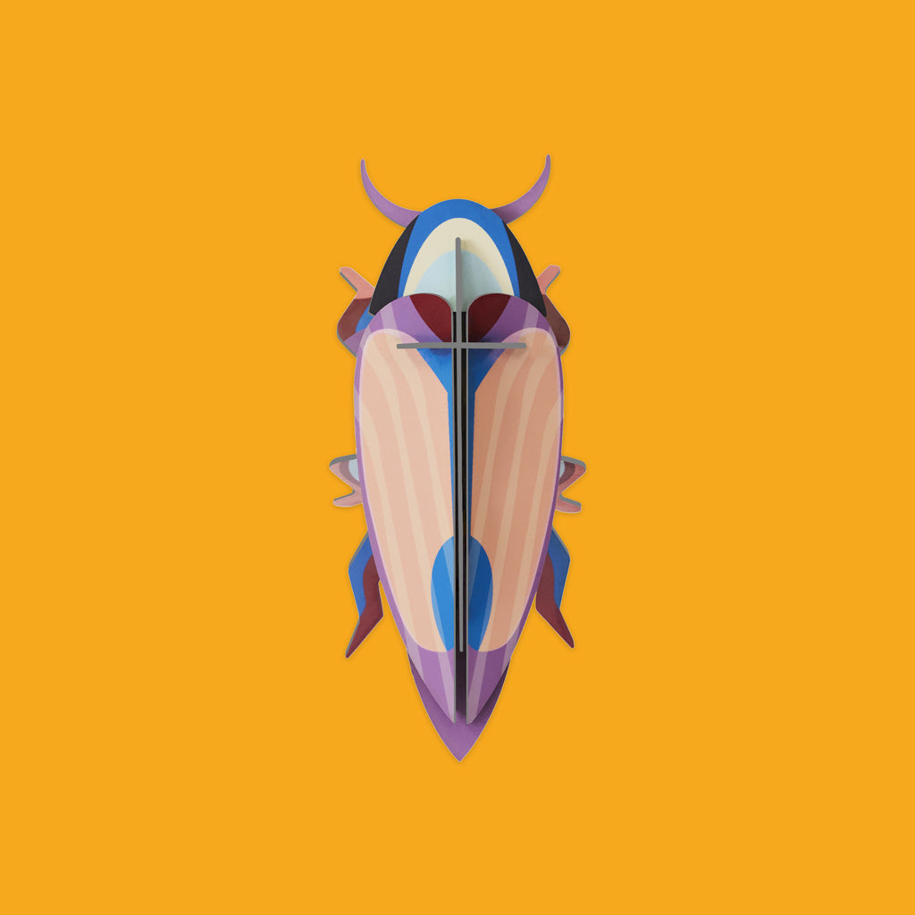 Studio Roof Violet Click Beetle
