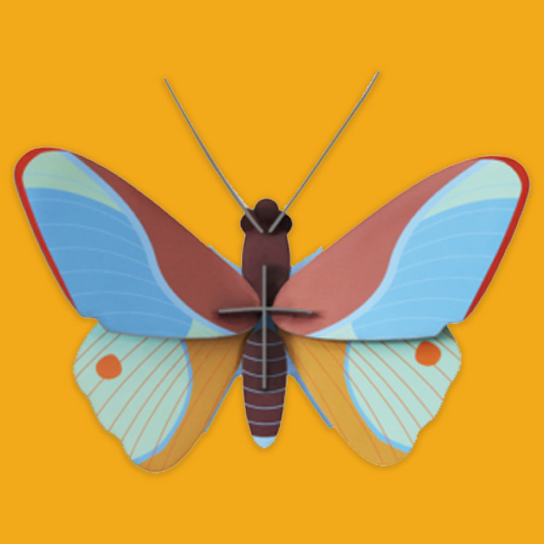 Small Wings Wall Decorations