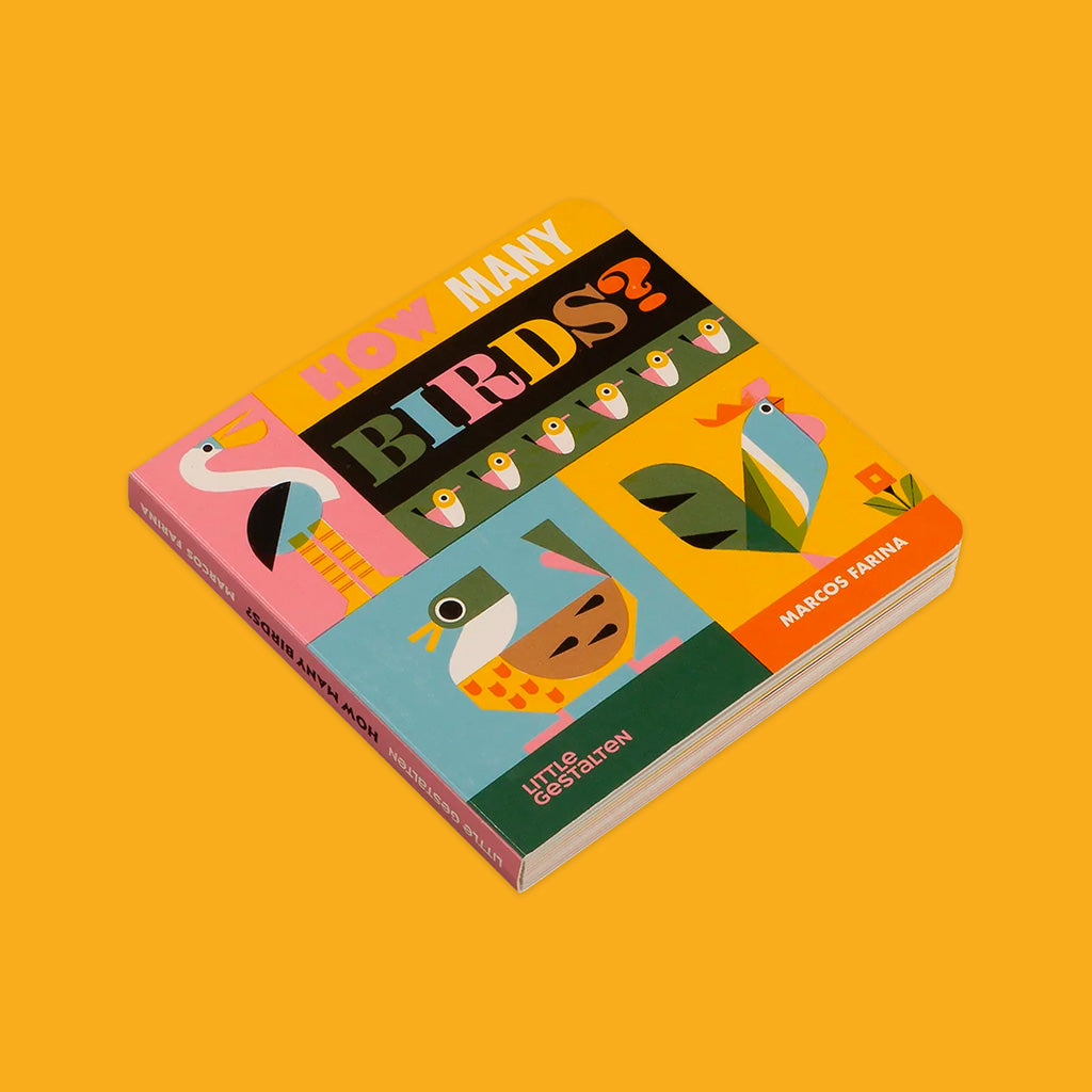 How Many Birds? Front Cover