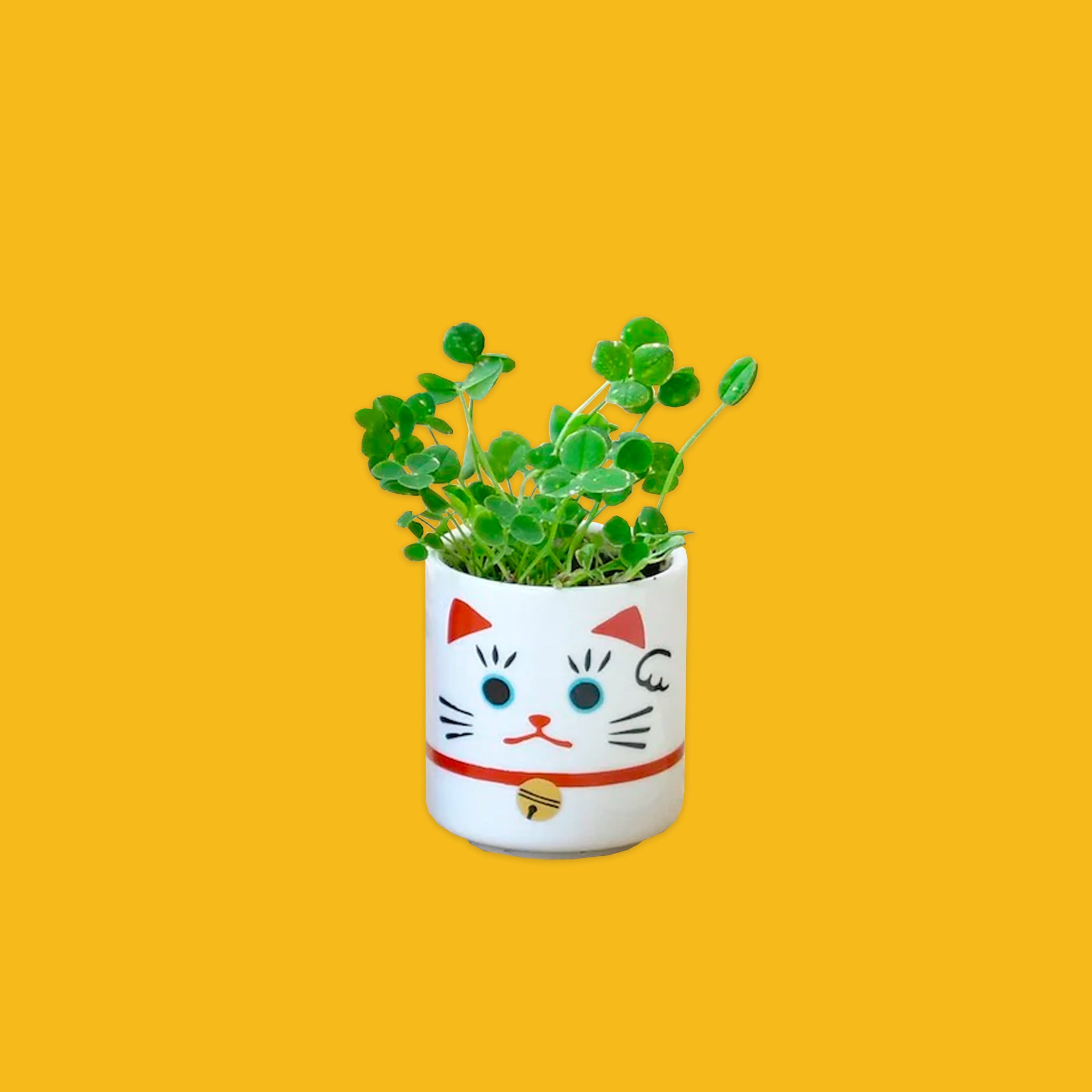 Beckoning Cat