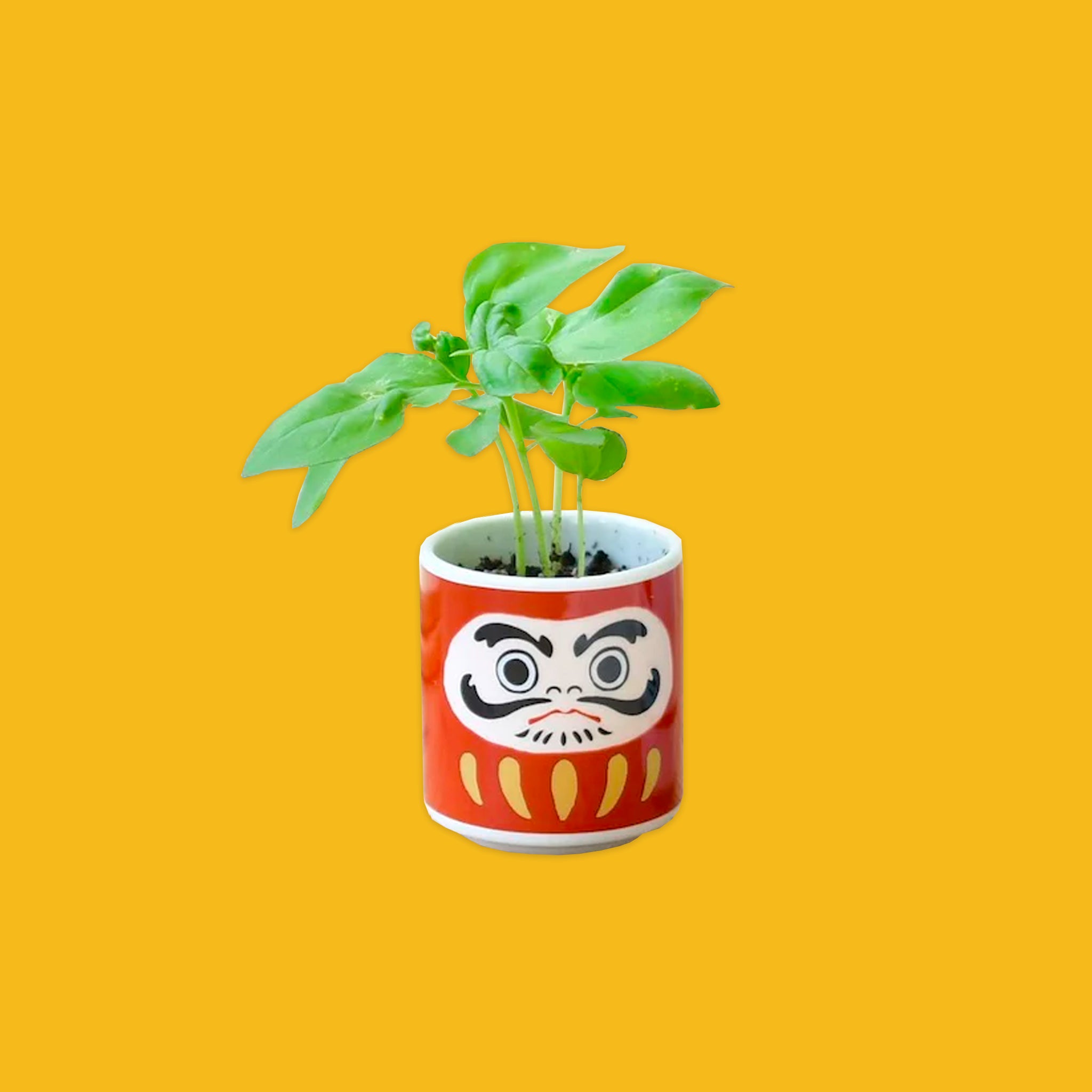 Daruma Doll