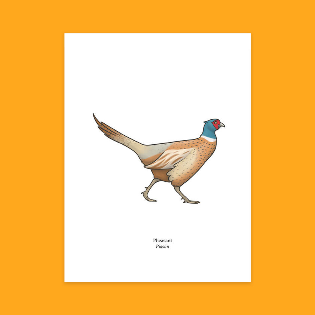 Pheasant Greeting Card
