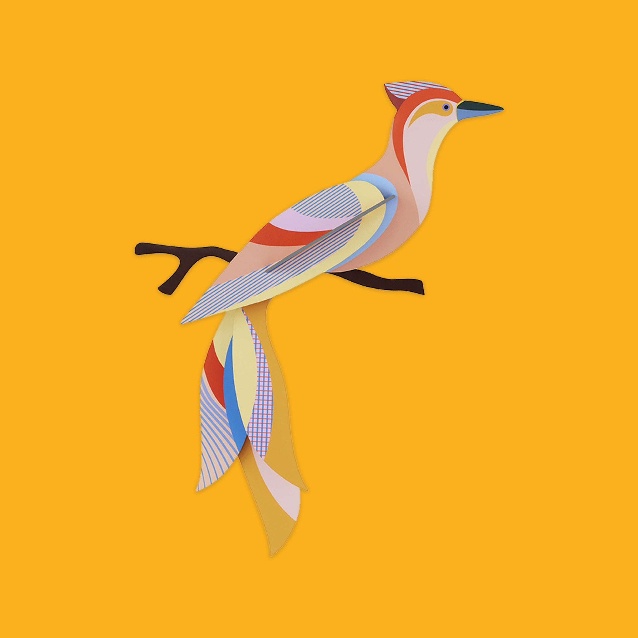 Paradise Birds Sabah from Studio Roof