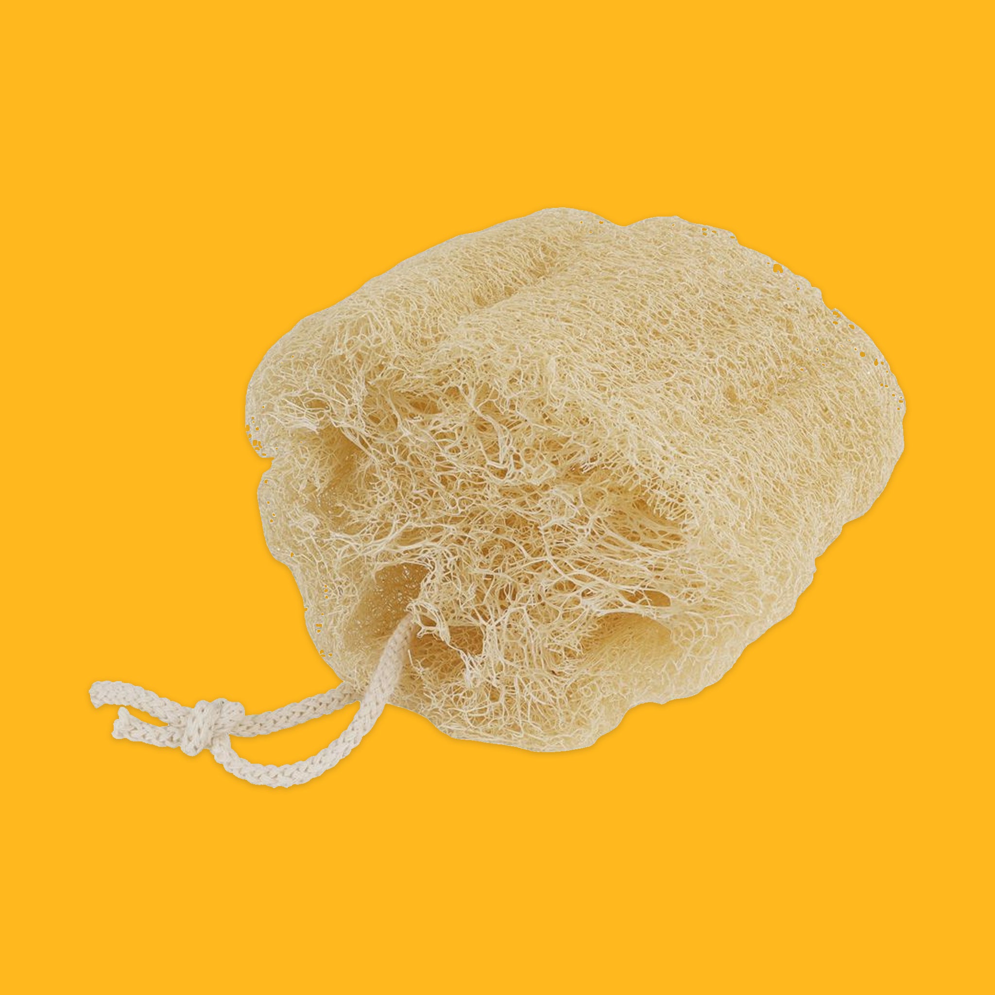 Natural loofah sponge on a yellow background