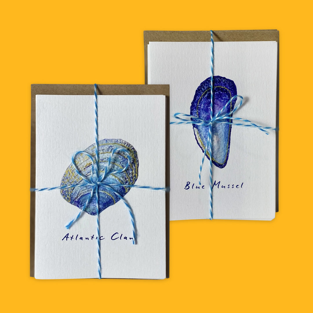 Seashell Miniature Card Set