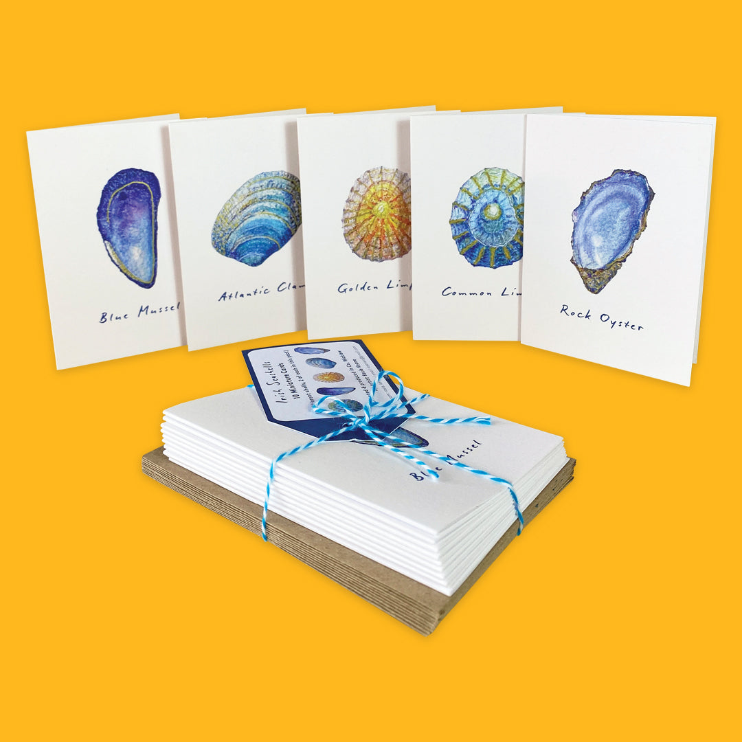 Seashell Miniature Card Set