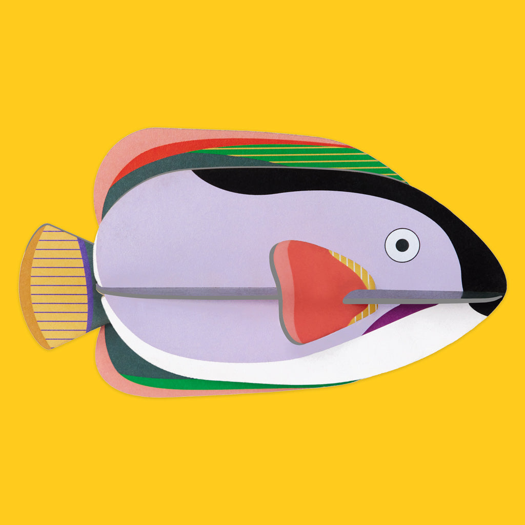 Studio Roof Small Fish King Angelfish