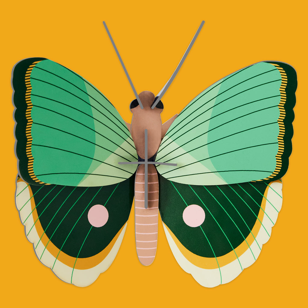 Small Wings Wall Decorations