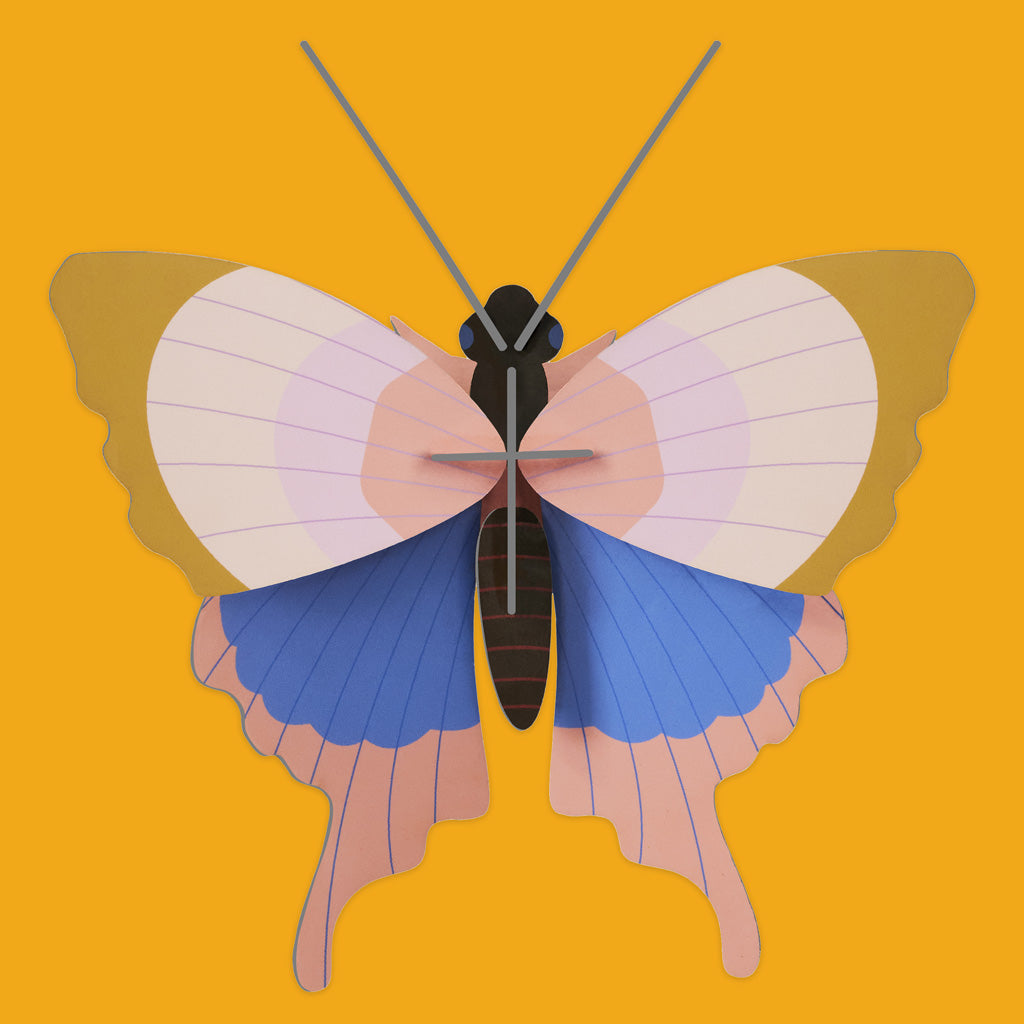 Small Wings Wall Decorations