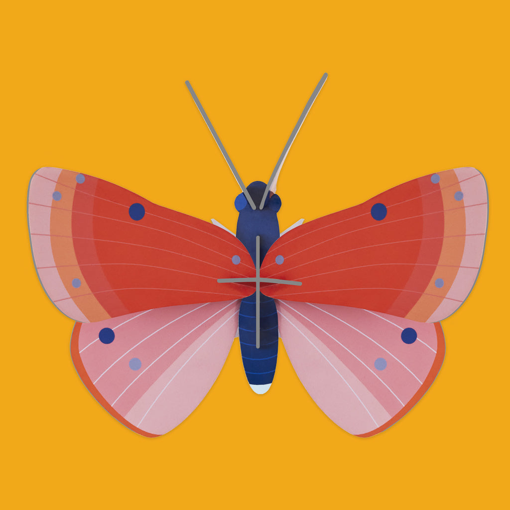 Small Wings Wall Decorations