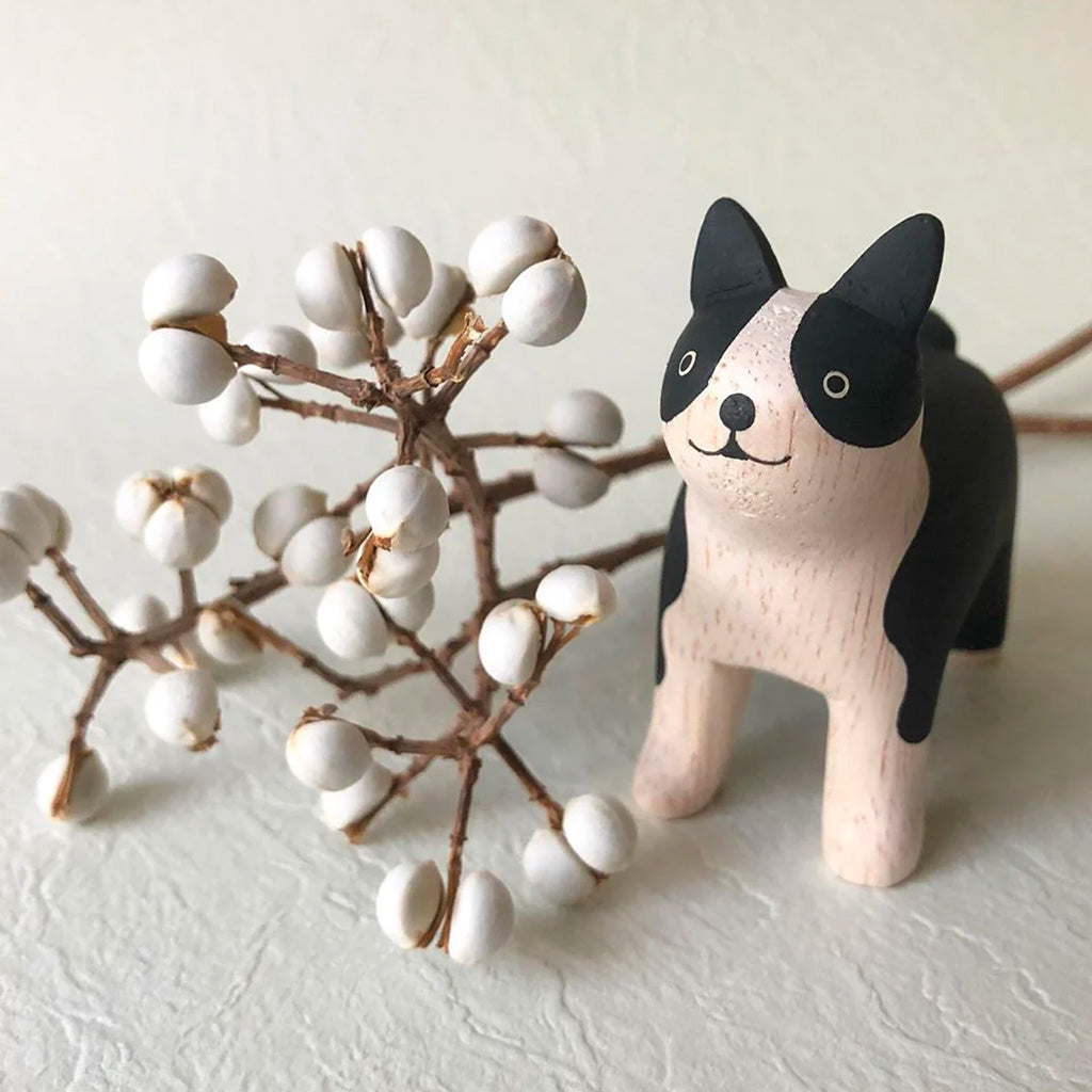 T-Lab Pole Pole Boston Terrier beside seeds