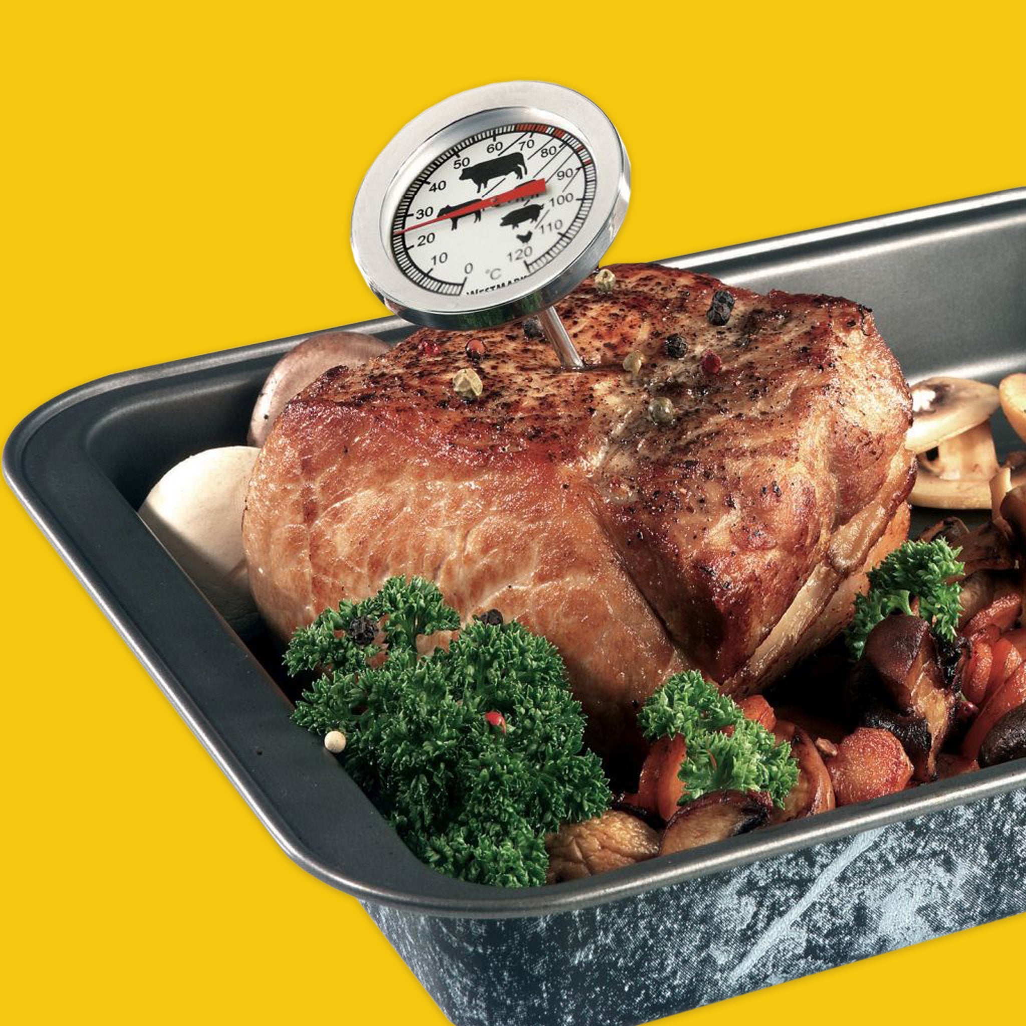 Roasting Thermometer