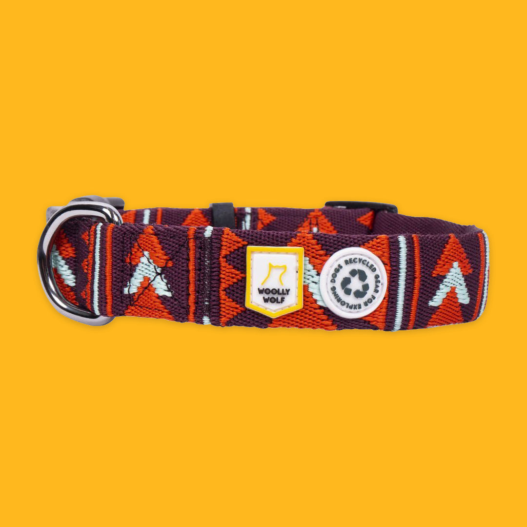 Wooly Wolf Collars Polar Night