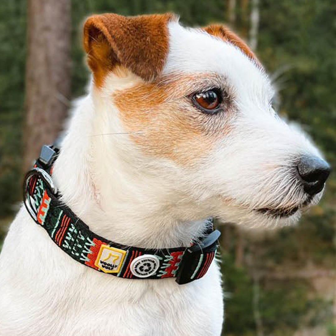 Wooly Wolf Collars Woodland Dog