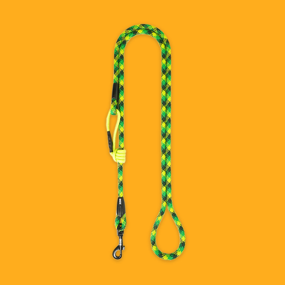 Ringhio Extendable Leash Boreale
