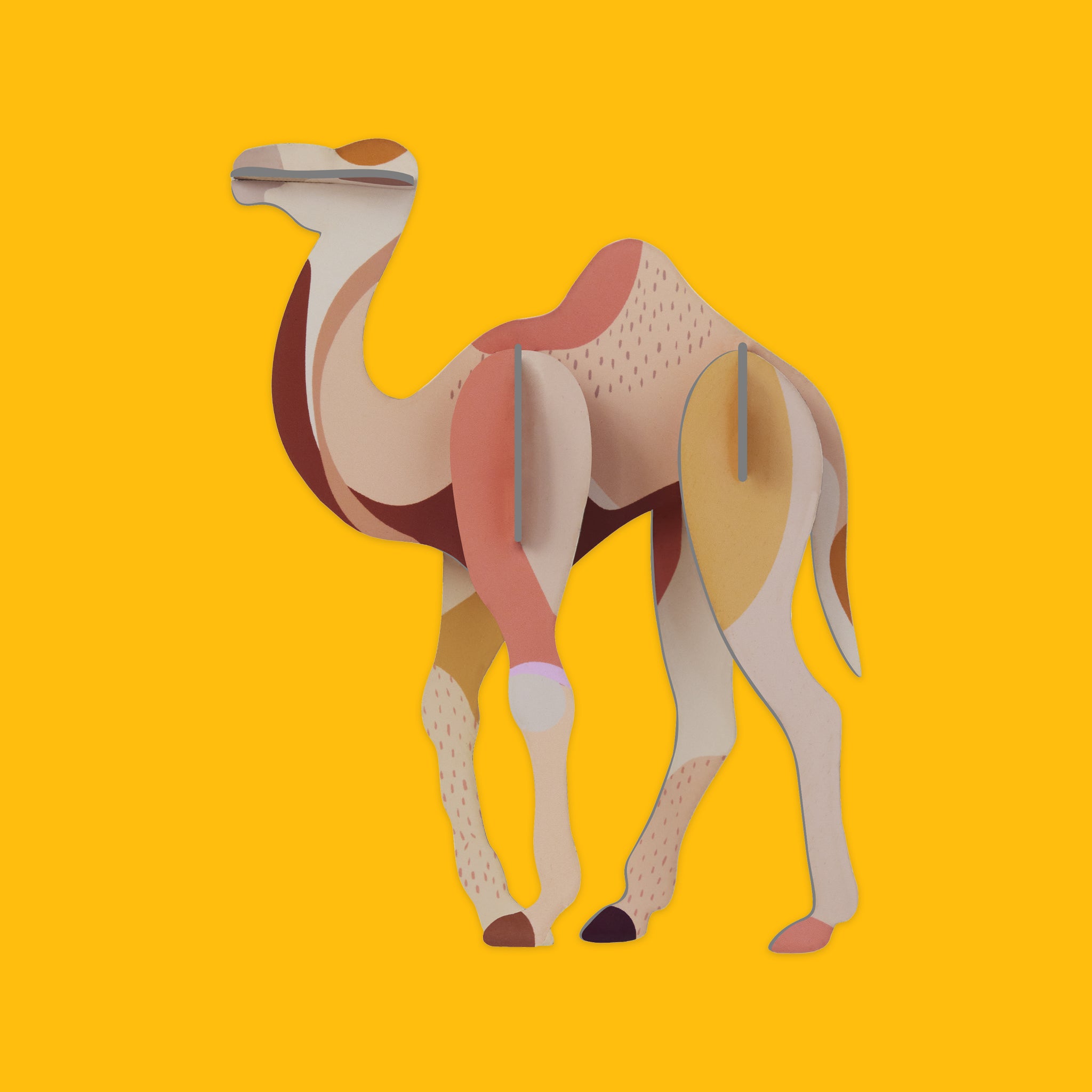 Camel
