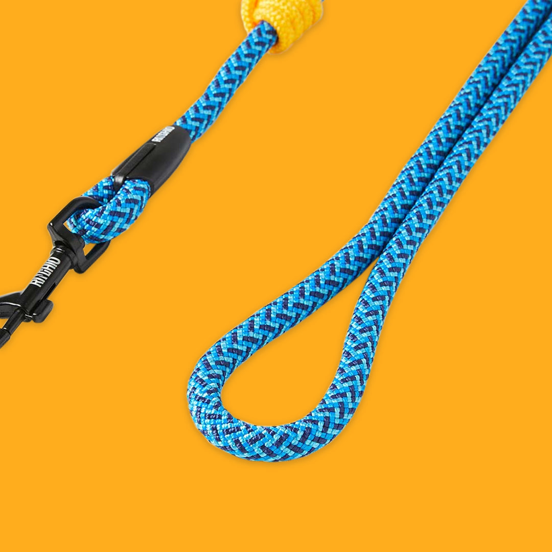 Extendable Dog Leash
