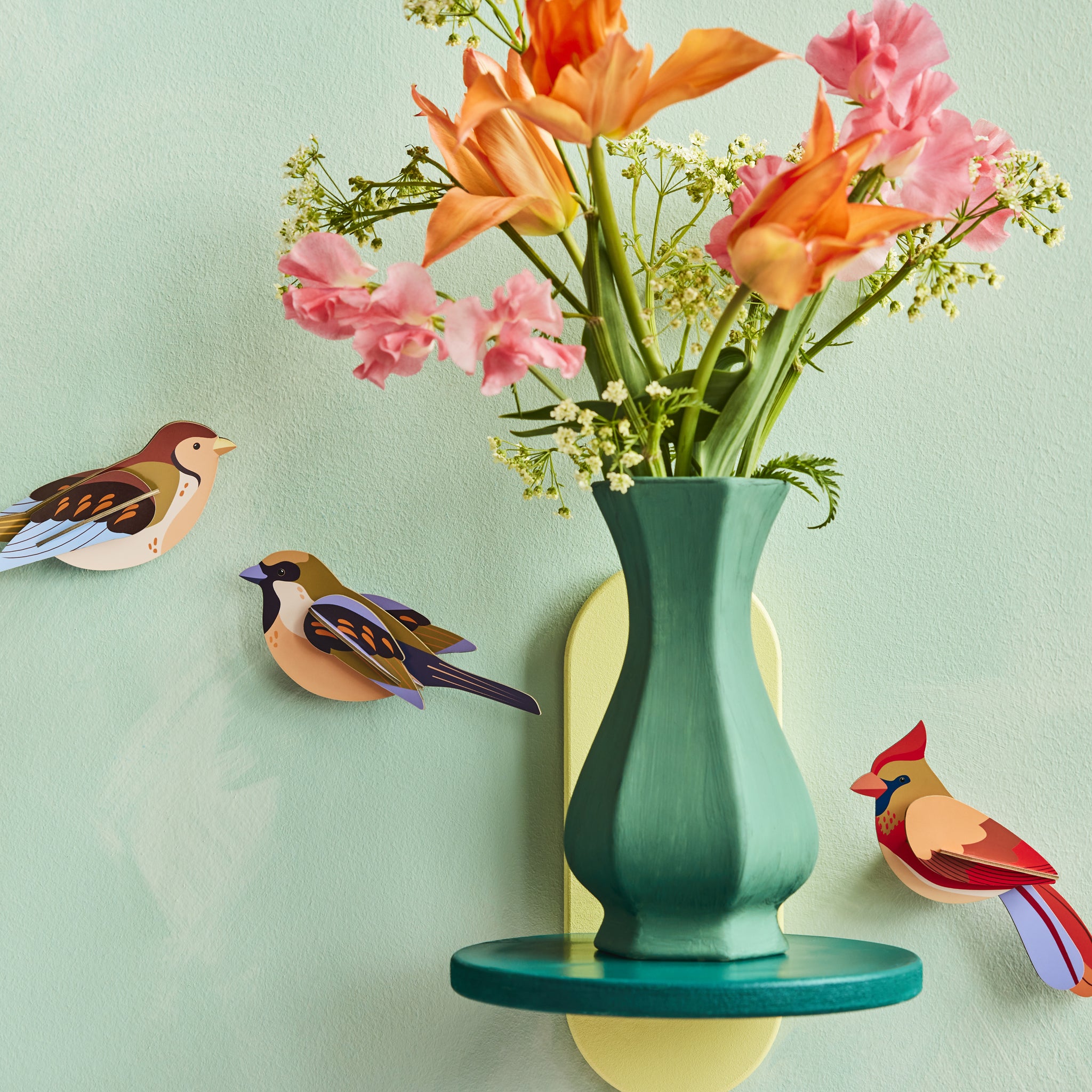 Garden Birds