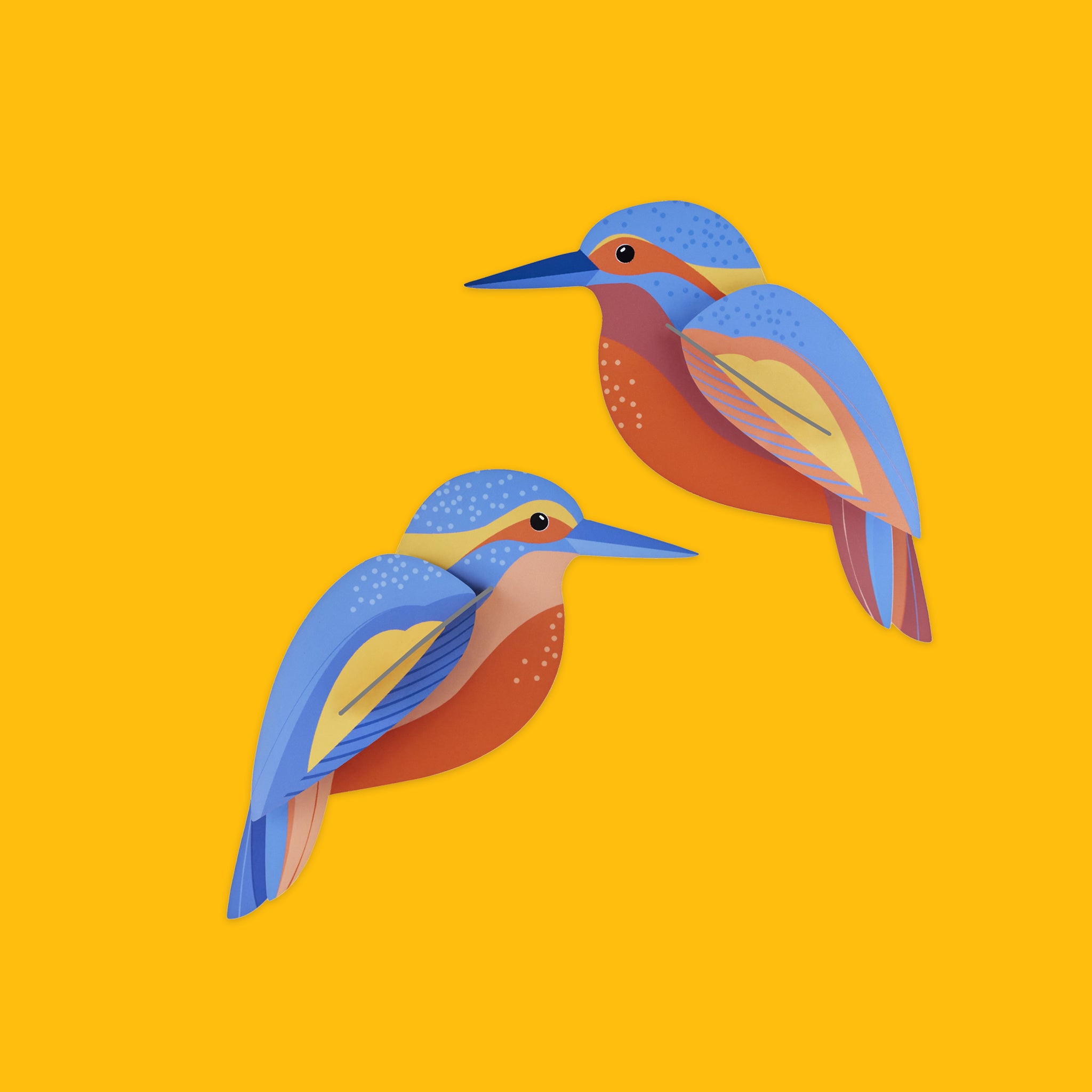 Kingfishers