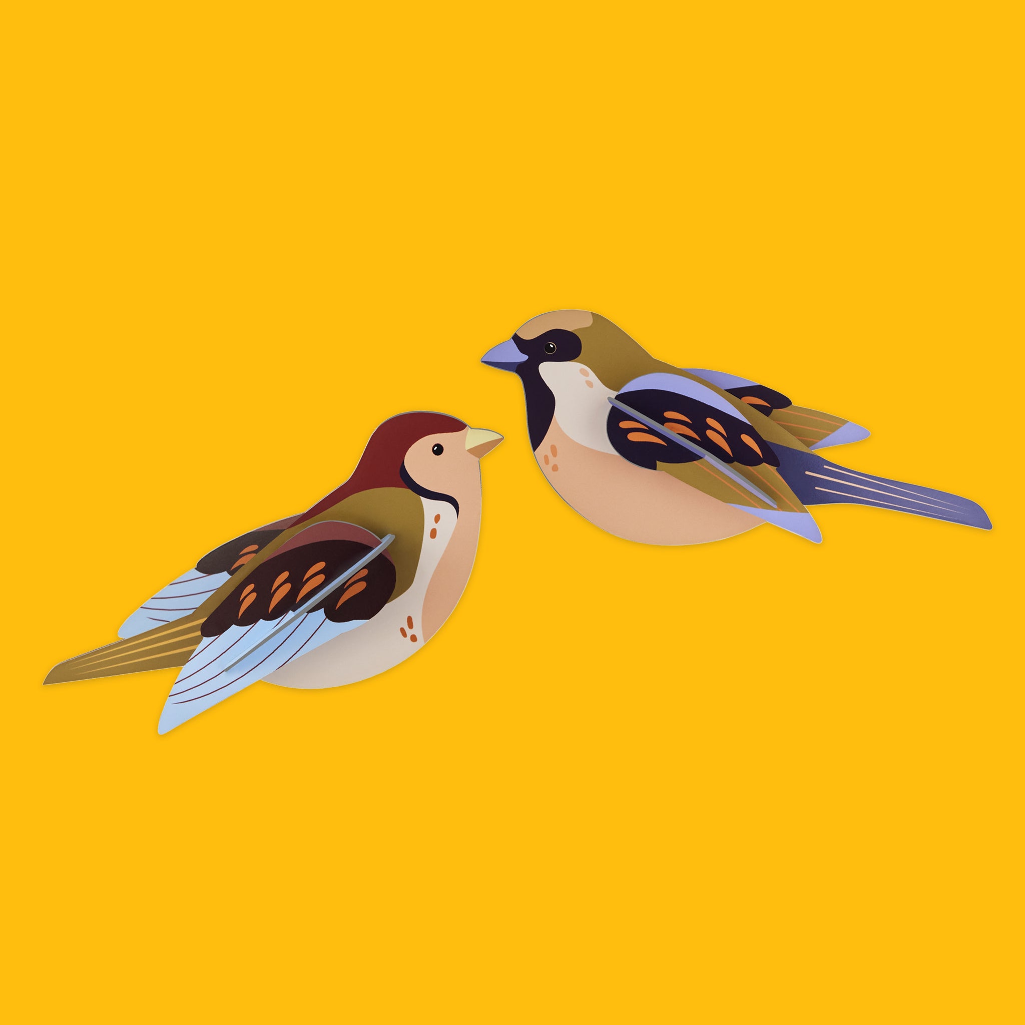 Sparrows