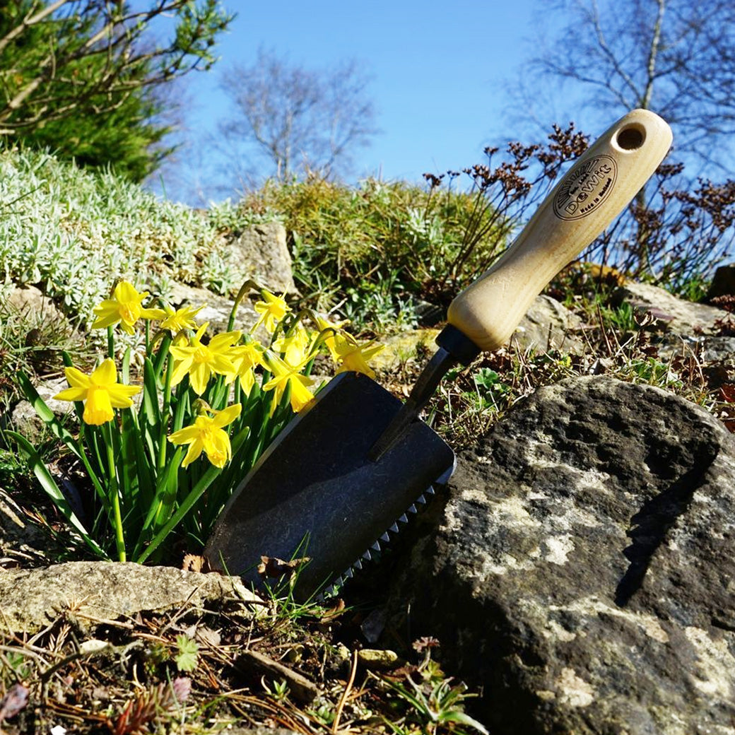DeWit Serrated Hand Trowel with ash handle in garden