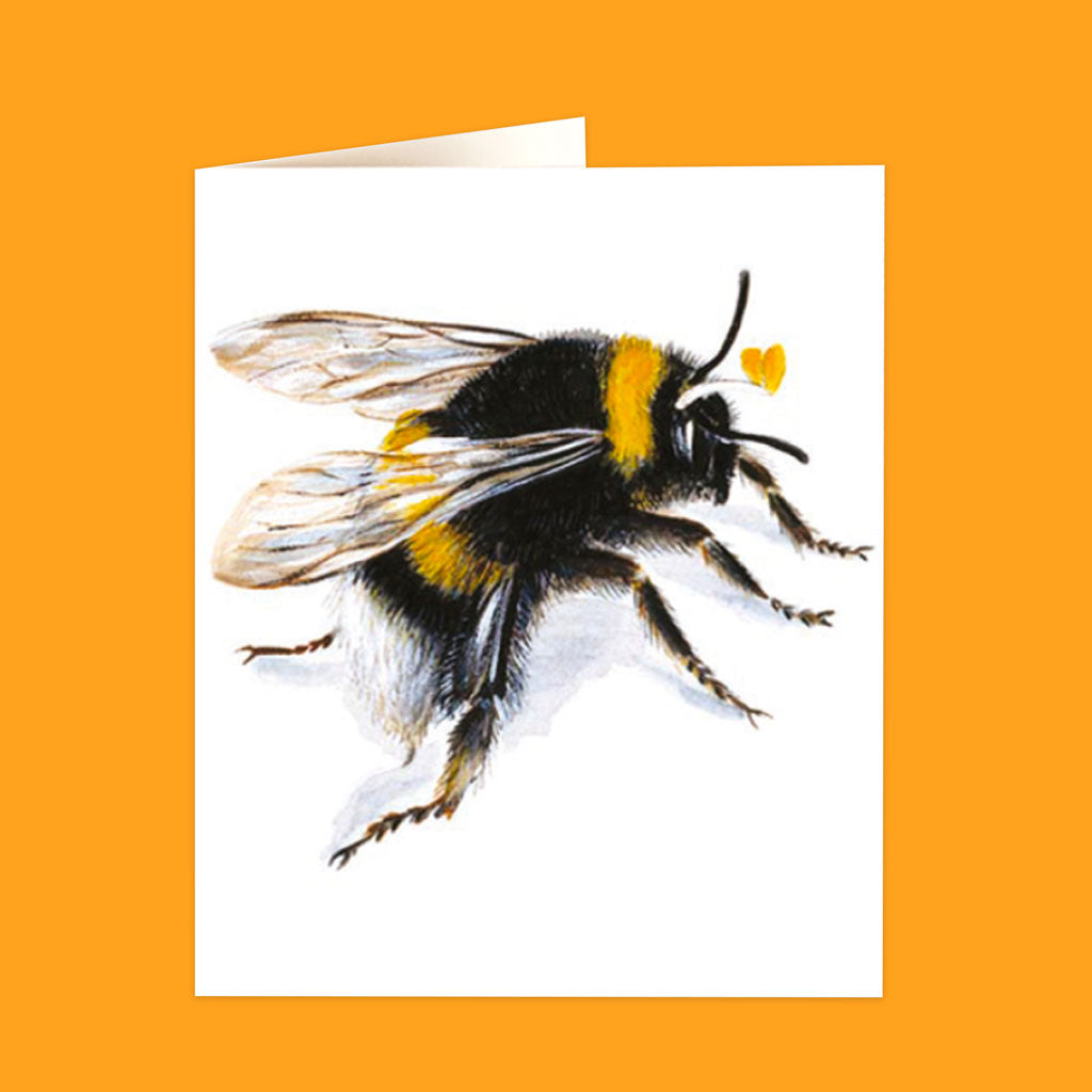 Natural History Museum Cards