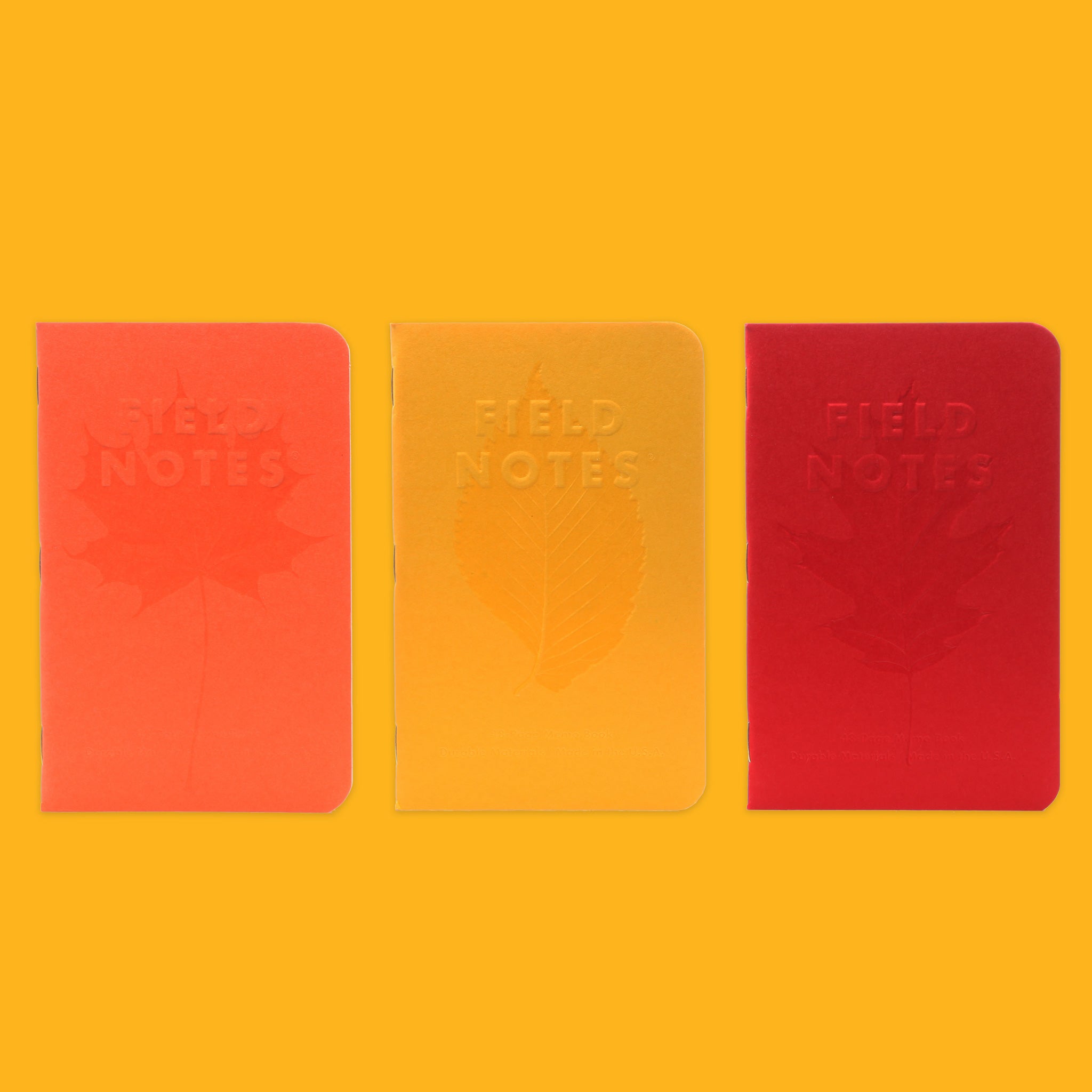 Autumn Trilogy by Field Notes