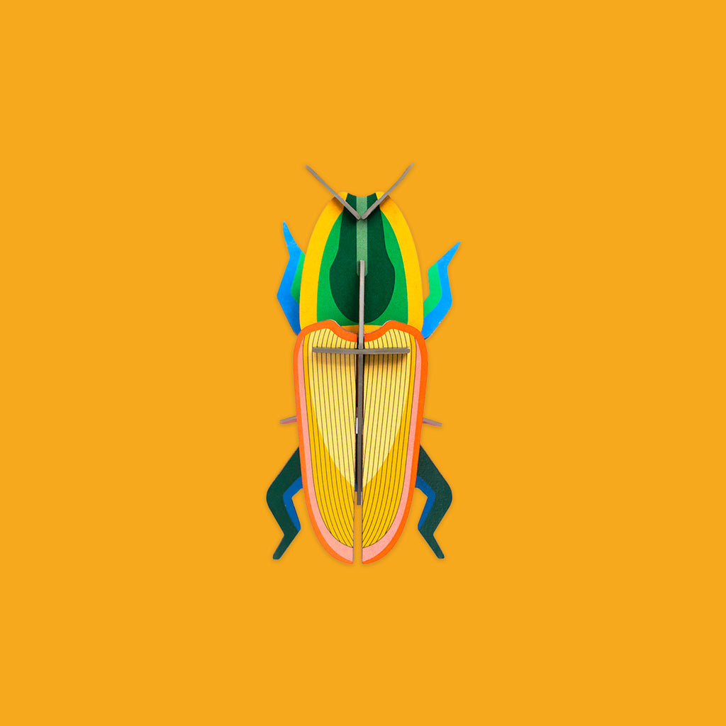 Studio Roof Madagascar Beetle