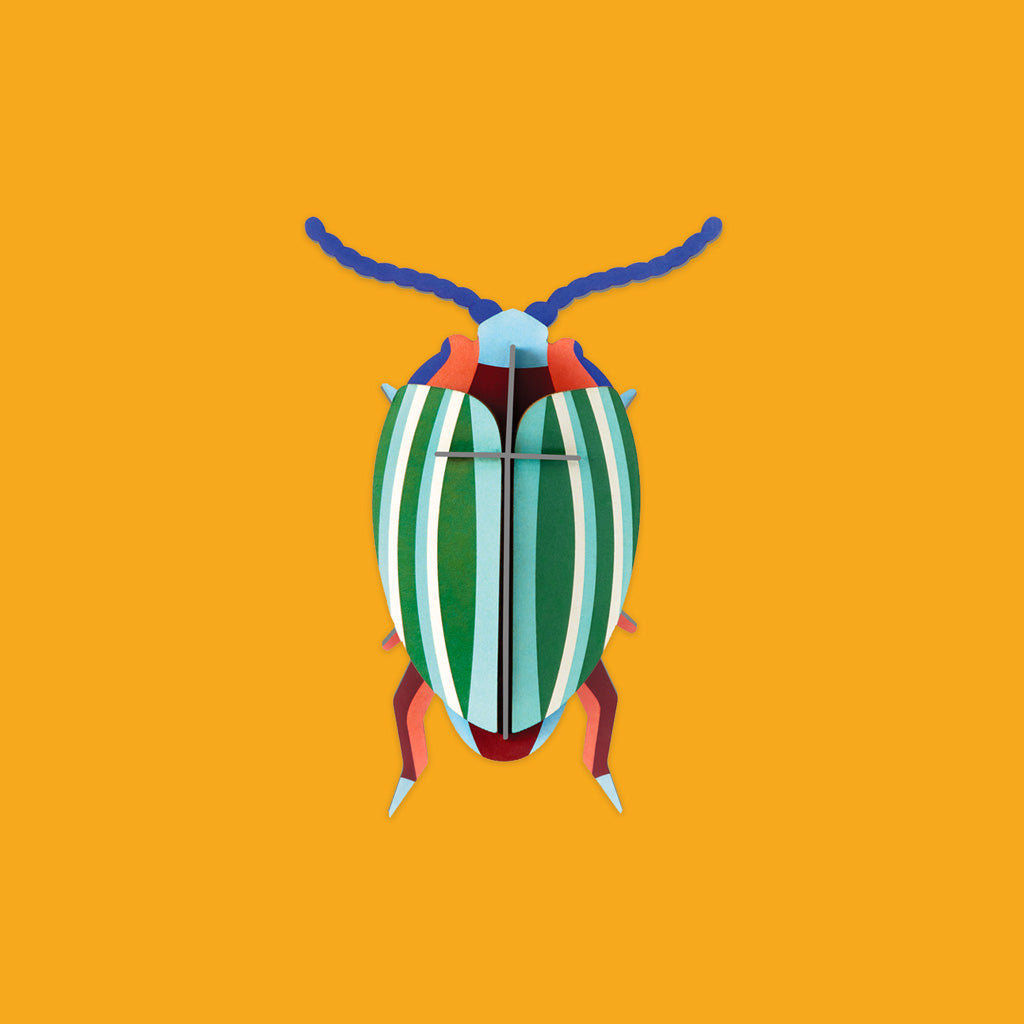 Studio Roof Rainbow Leaf Beetle