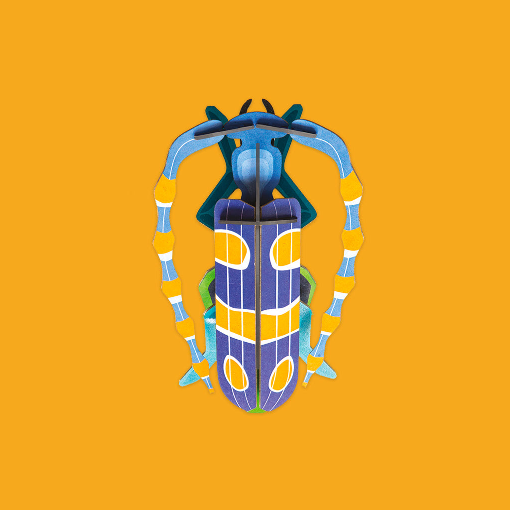 Studio Roof Rosalia Beetle