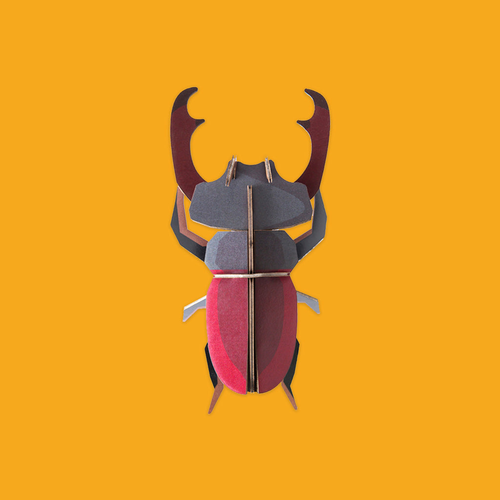 Studio Roof Stag Beetle