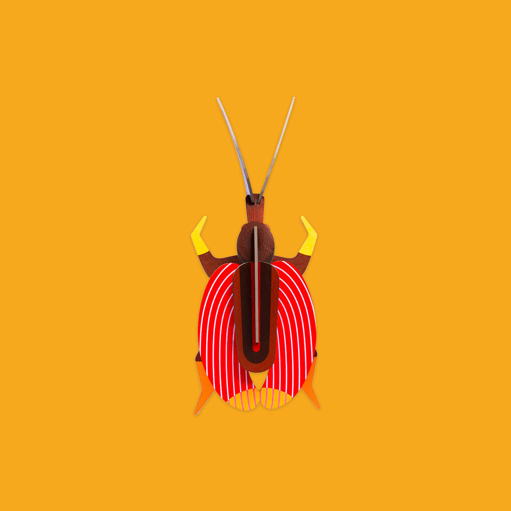 Studio Roof Violin Beetle