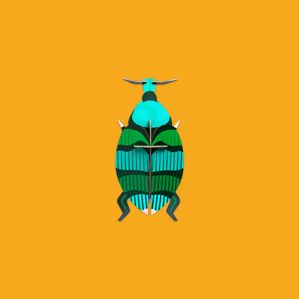 Studio Roof Weevil