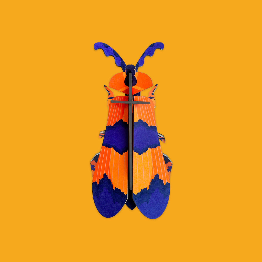 Studio Roof Winged Beetle
