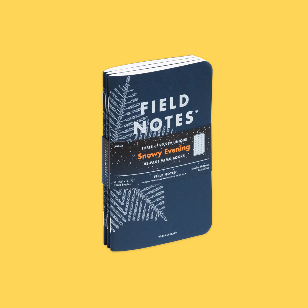 Field Notes Snowy Evening Memo Books