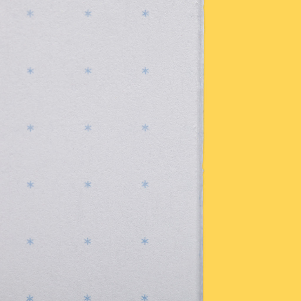 Field Notes Snowy Evening Memo Books Dot Graph Pages