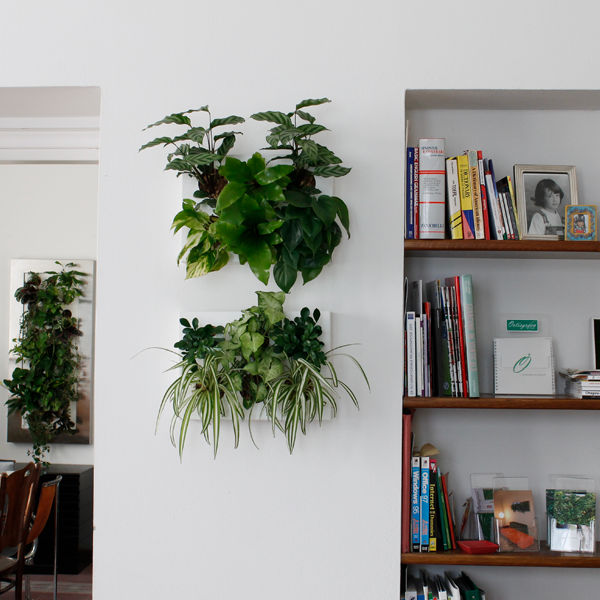 HOH! Vertical Indoor Garden