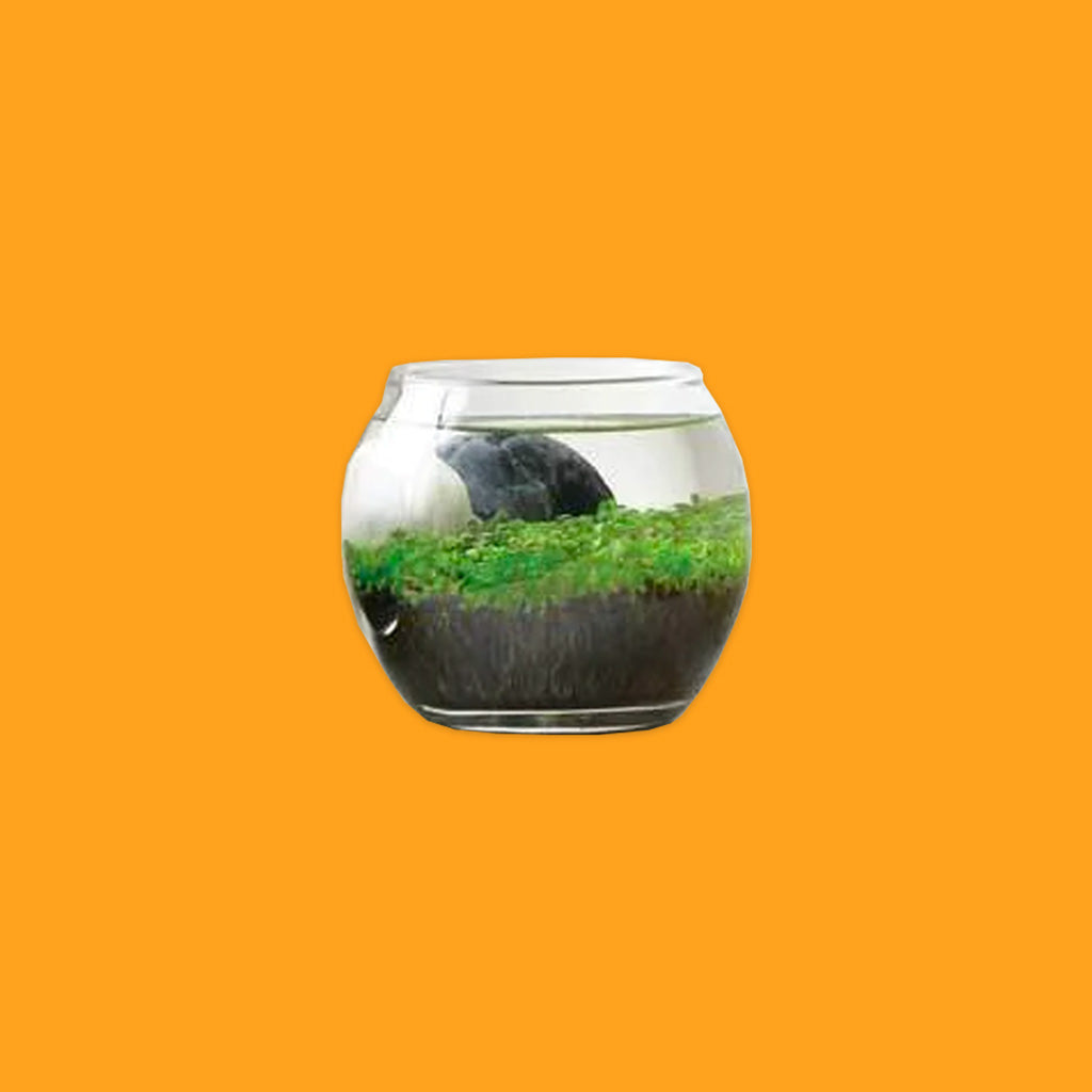 NotedCo Water Garden