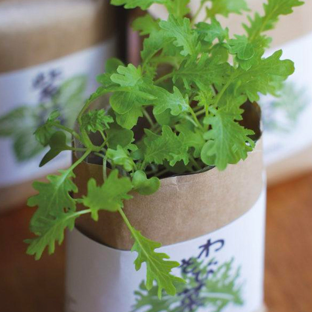Greens Grow Bags