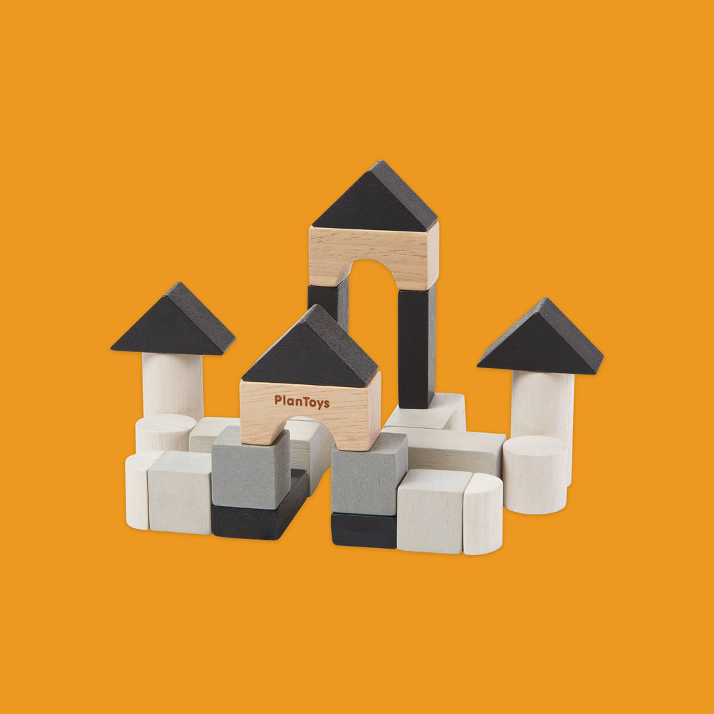 Plan Toys 24 block Construction set