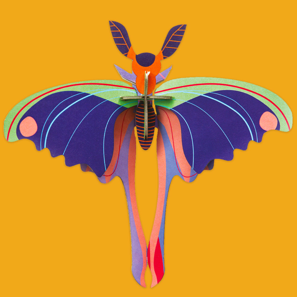 Small Wings Wall Decorations