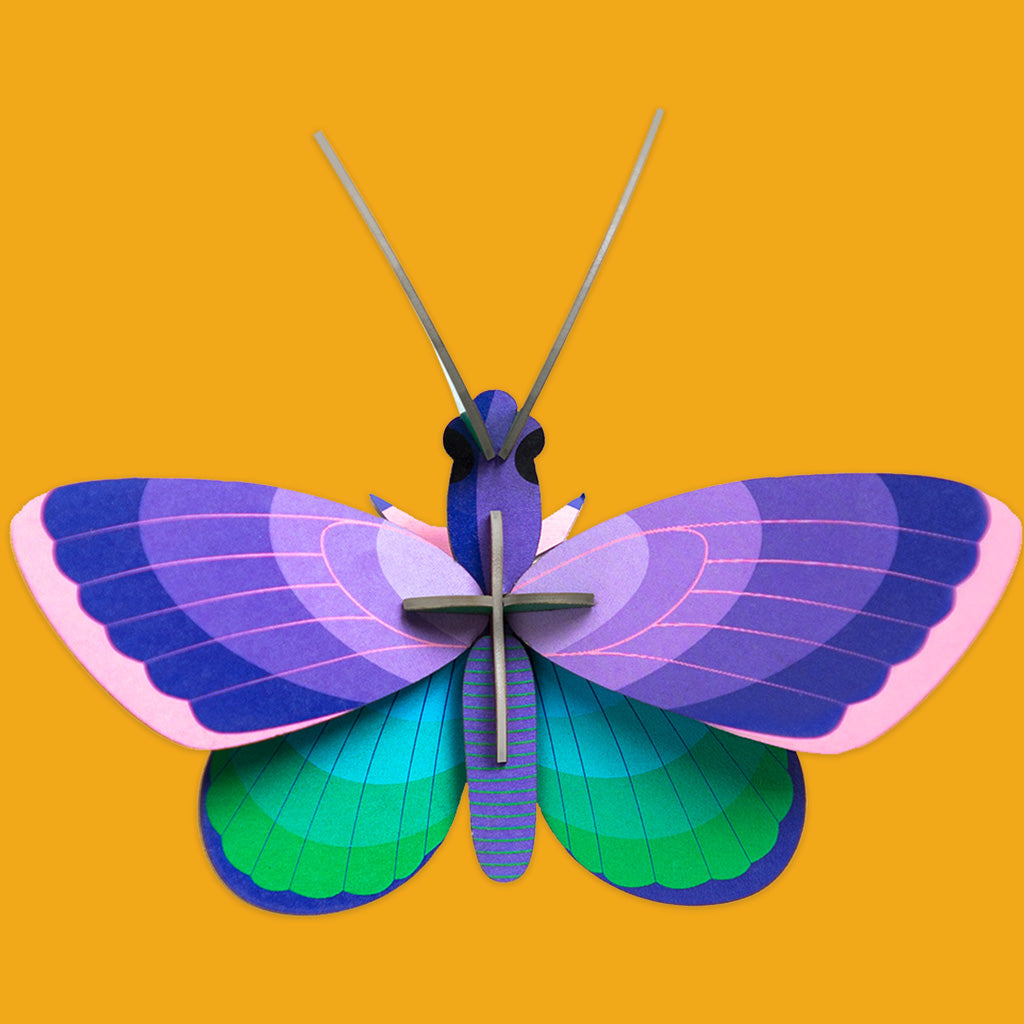 Small Wings Wall Decorations