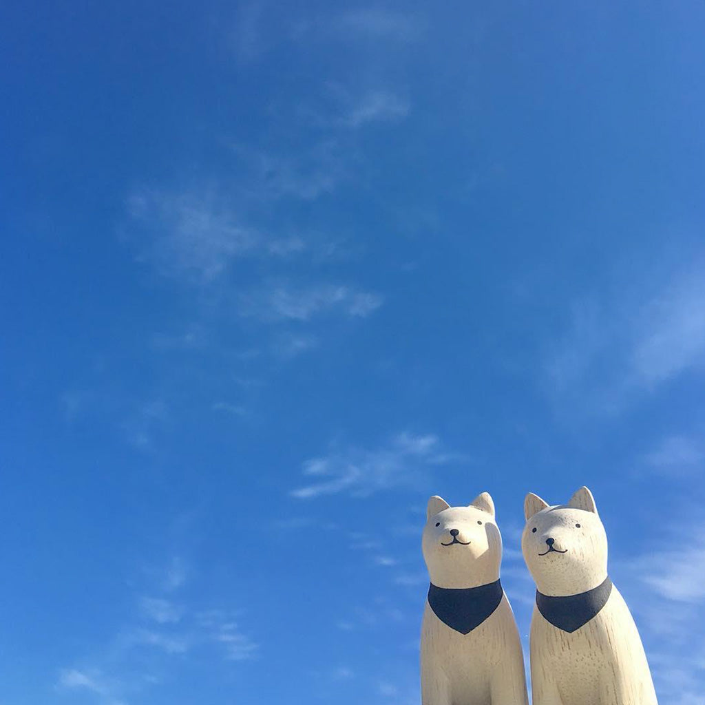 T-Lab Pole Pole Akita pair in the sky