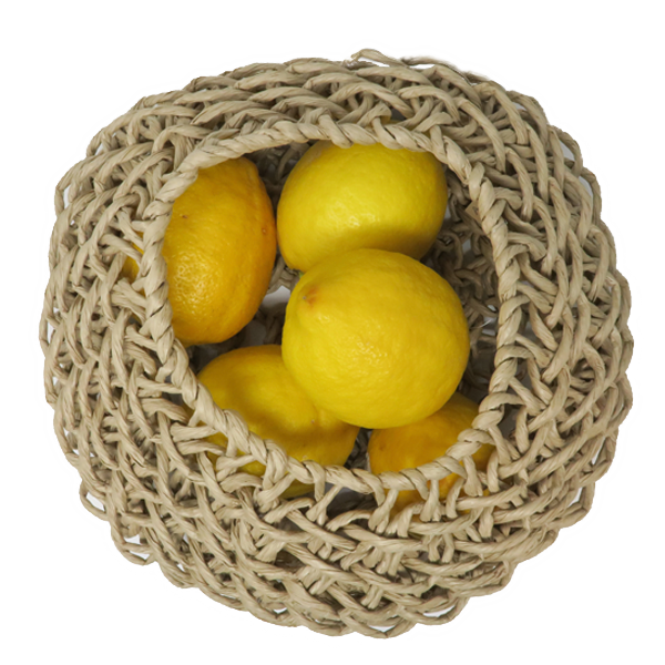 A Gros Legumes Paper Basket