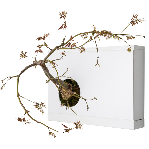 bHOH!nsai Vertical Bonsai