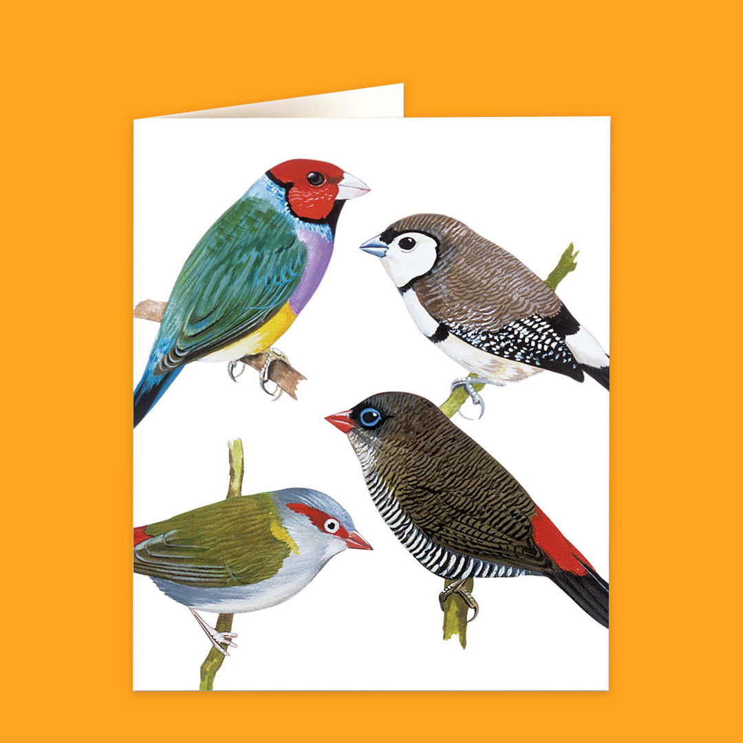 Natural History Museum Cards