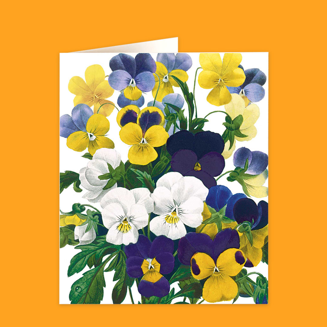 Natural History Museum Cards